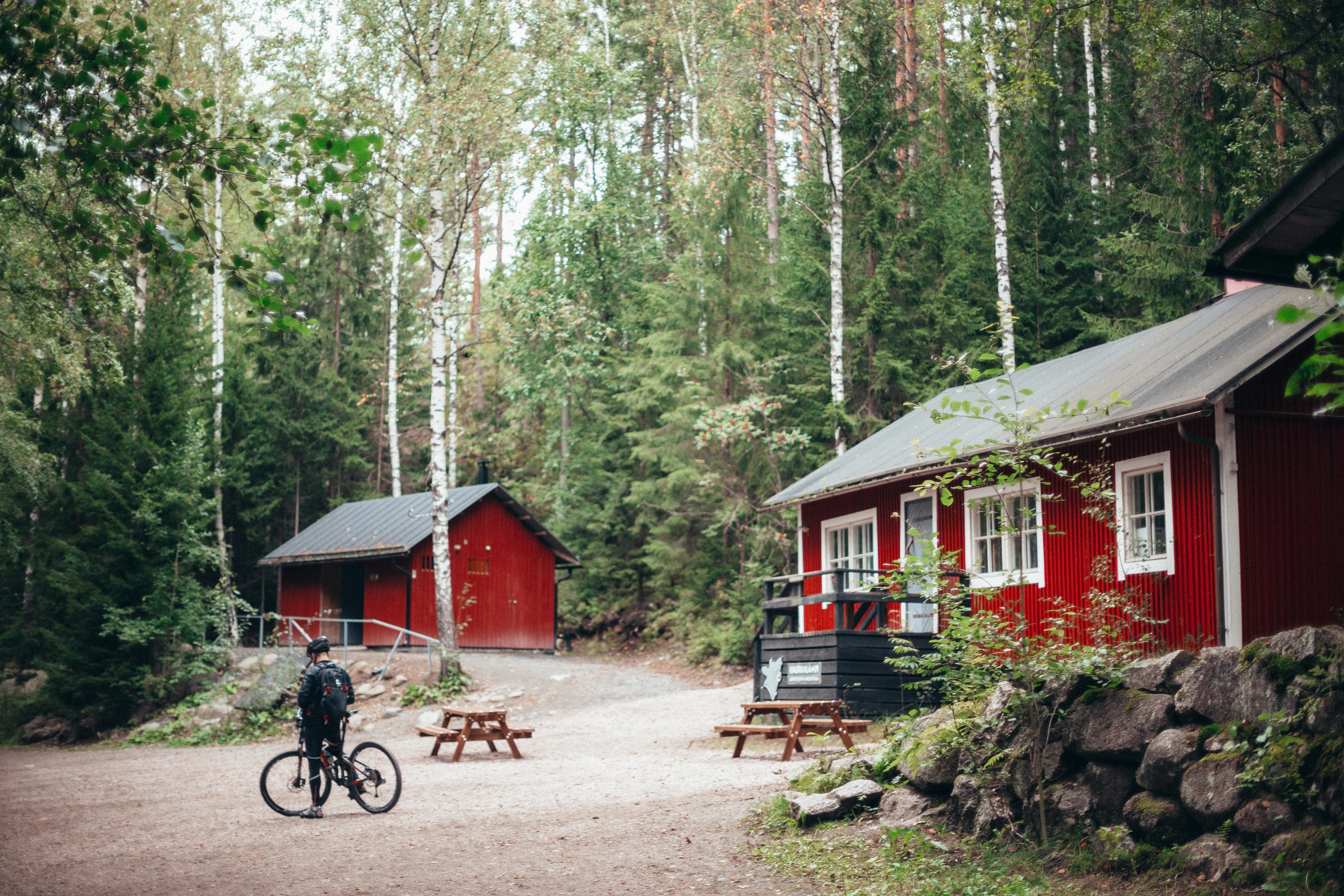 Metsä on Suomen parasta antia