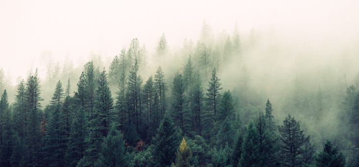 Helpoin loma Suomessa on luontoloma