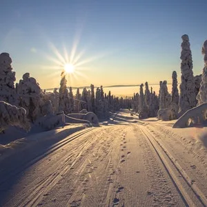 Suomen parhaat matkakohteet etelästä pohjoiseen