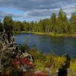 Kansallispuiston kaunis jokimaisema