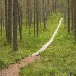 Kansallispuistoissa on useita erilaisia reittejä.