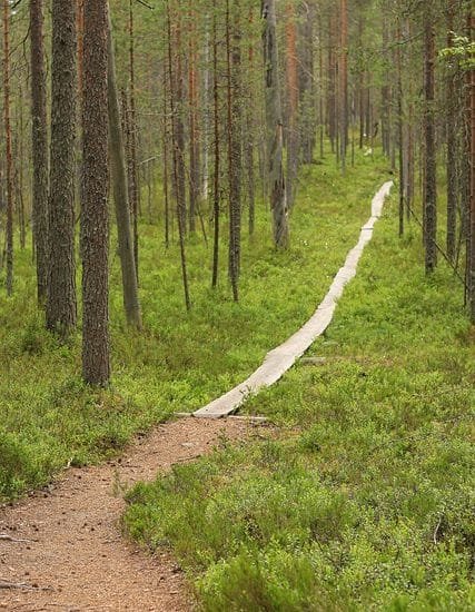 Kansallispuistoissa on useita erilaisia reittejä.